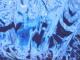 "Blessed Water TPN 1" vid�o